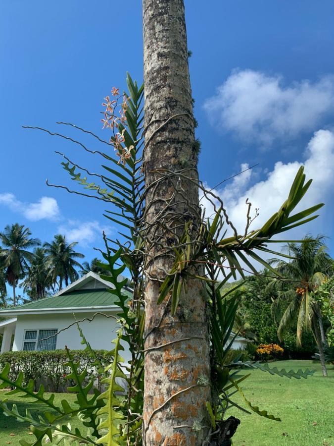 Chalets D'Anse Forbans Selfcatering Takamaka Exterior foto